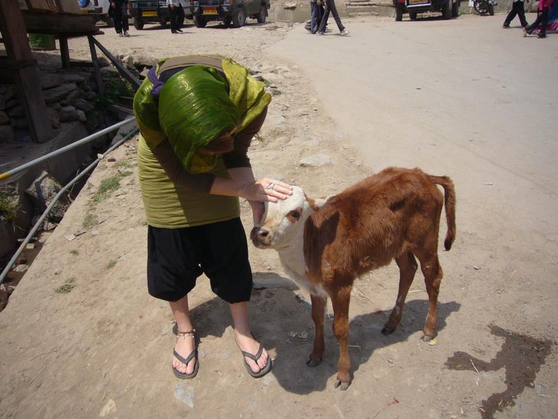 Travel - India - Kashmir - Aru