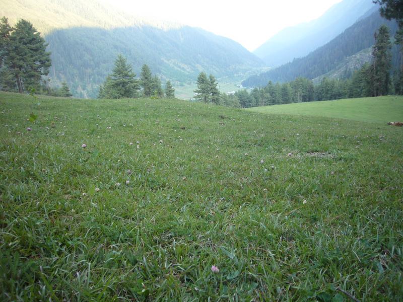 Travel - India - Kashmir - Aru