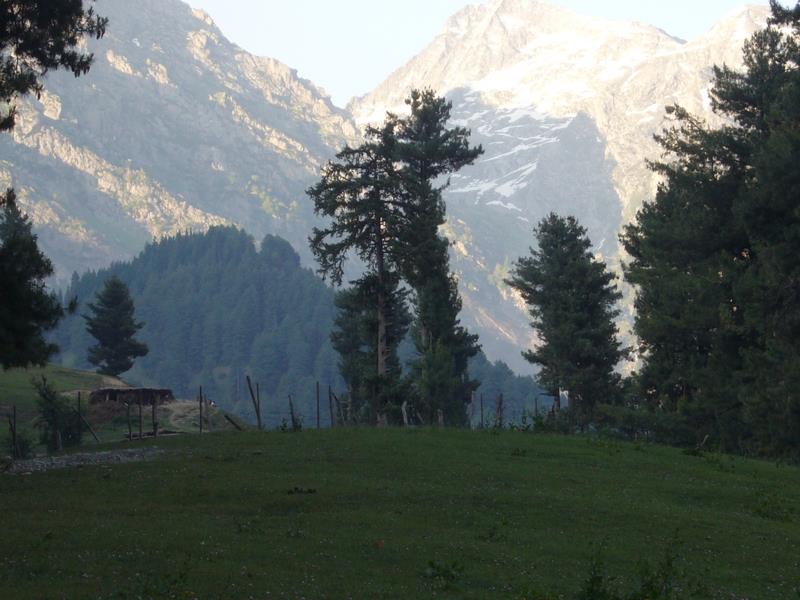 Travel - India - Kashmir - Aru