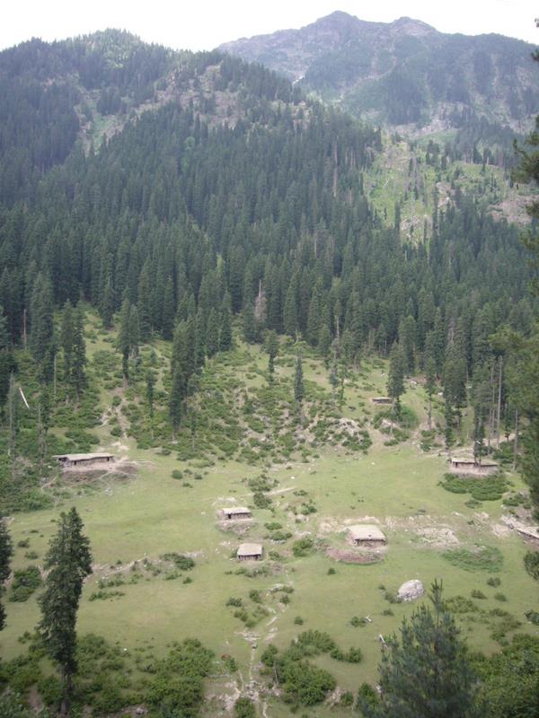 Travel - India - Kashmir - Aru