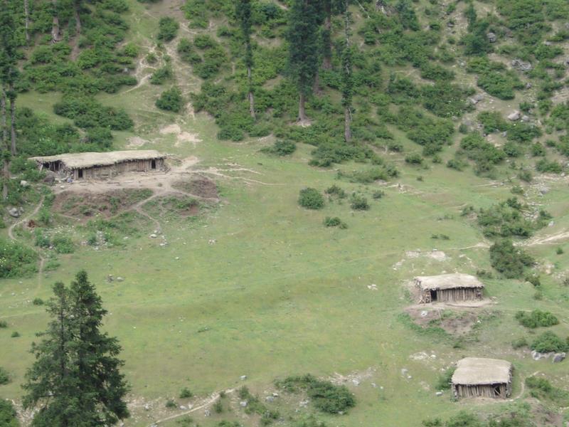 Travel - India - Kashmir - Aru