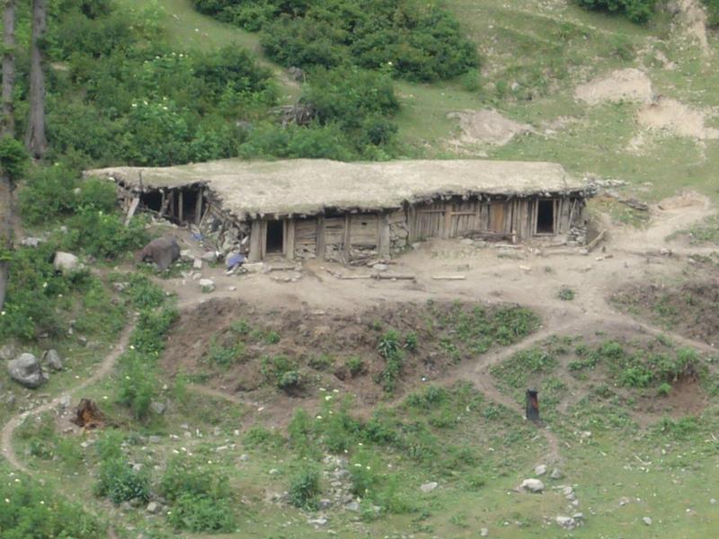 Travel - India - Kashmir - Aru