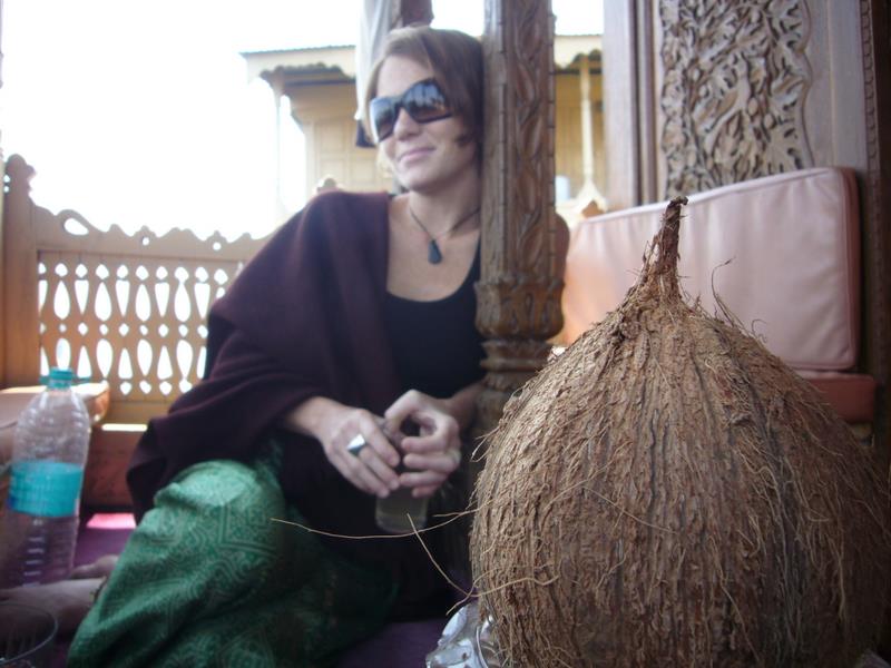 Travel - India - Kashmir - Srinagar - Coconut