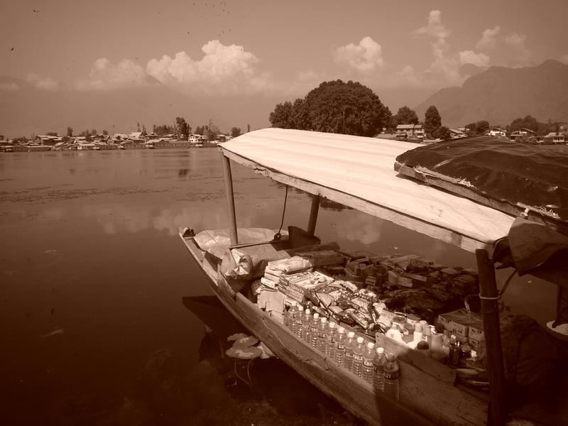 Travel - India - Kashmir - Srinagar - Coconut