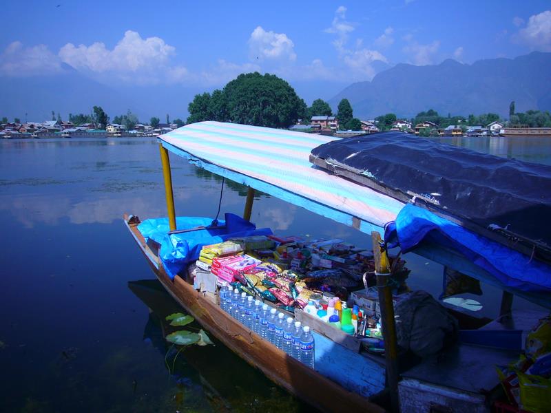 Travel - India - Kashmir - Srinagar - Coconut