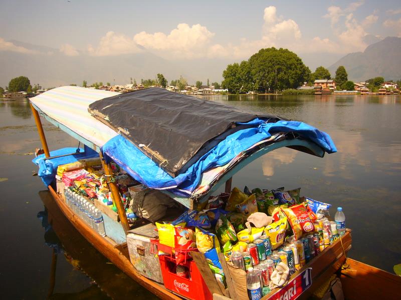 Travel - India - Kashmir - Srinagar - Coconut