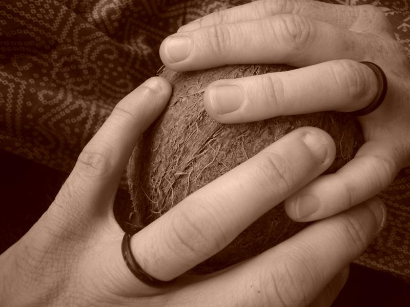 Travel - India - Kashmir - Srinagar - Coconut