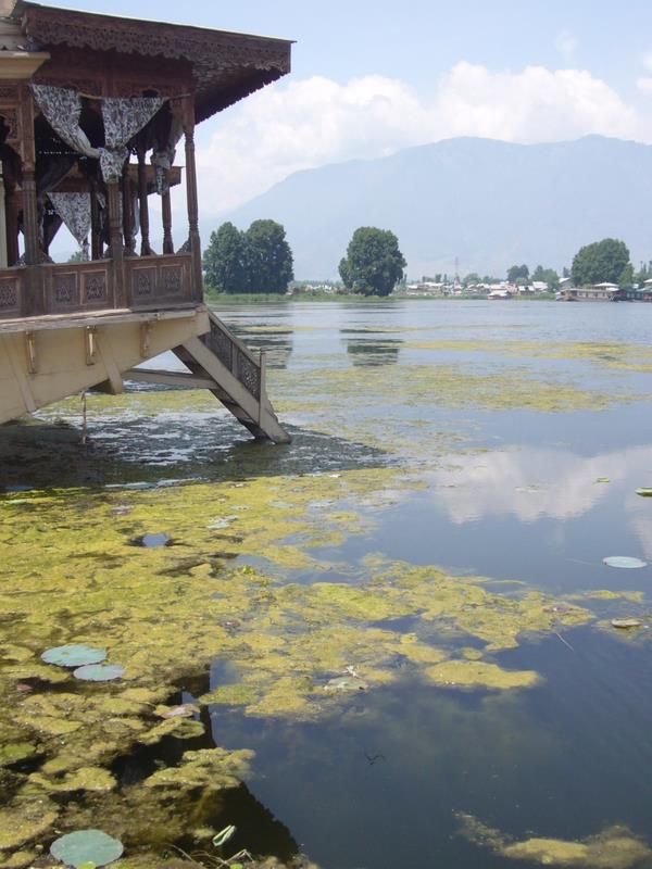 Travel - India - Kashmir - Srinagar - Houseboat