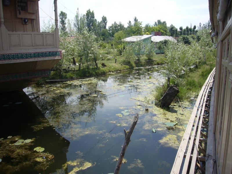 Travel - India - Kashmir - Srinagar - Houseboat