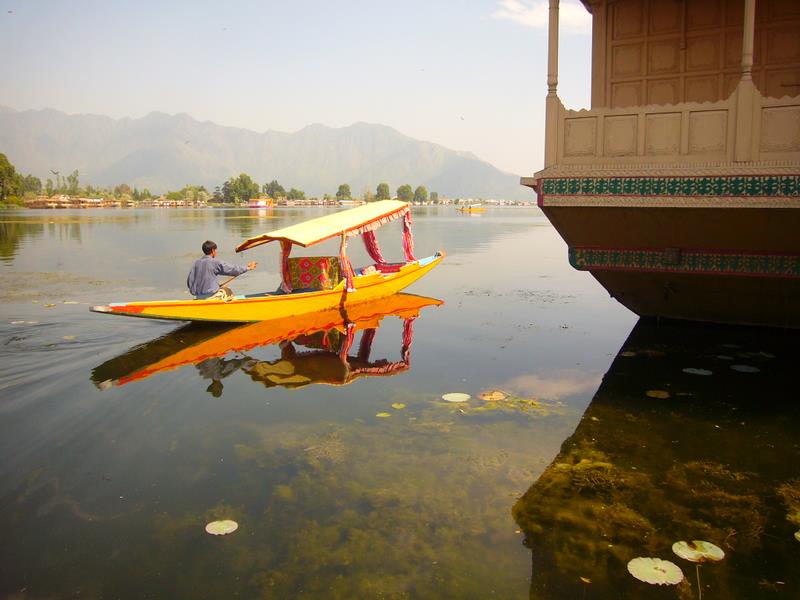 Kashmir