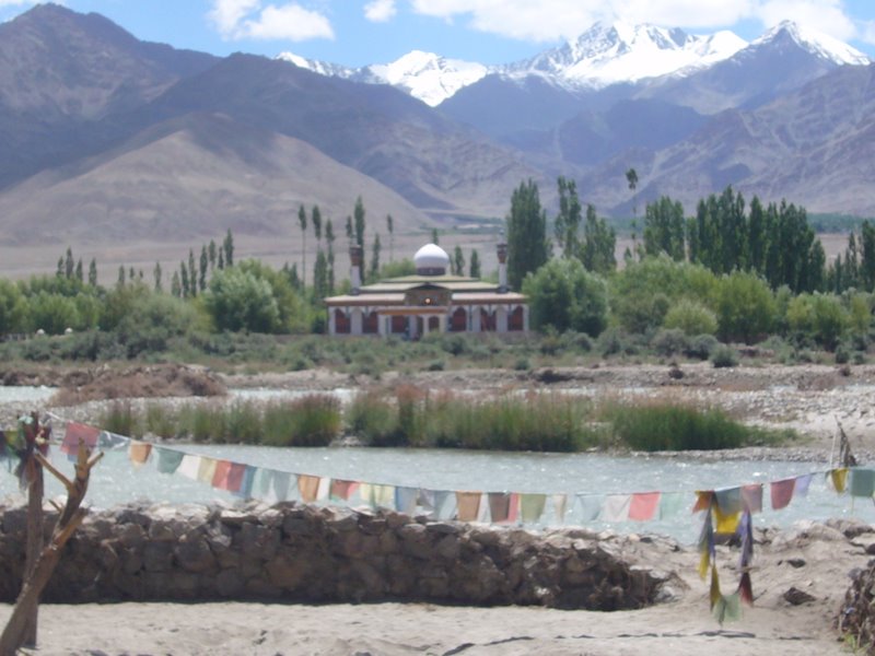 Travel - India - Ladakh - Choglamsar