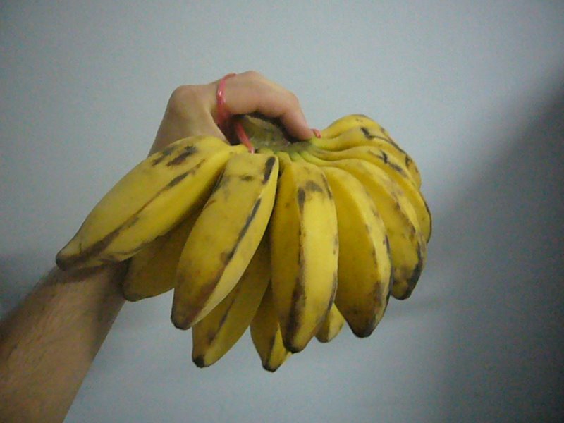 Weird shaped but tasty bananas.