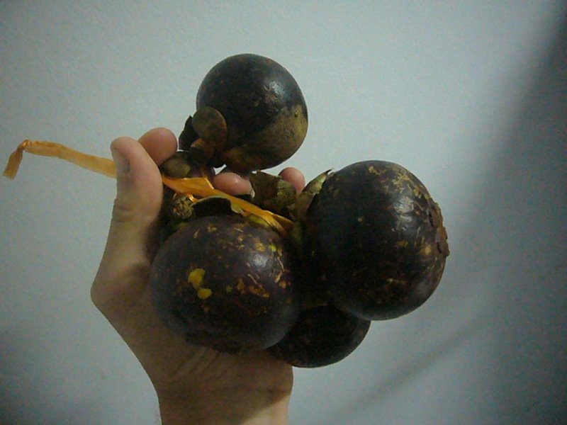 Mangosteen. Queen of fruits.