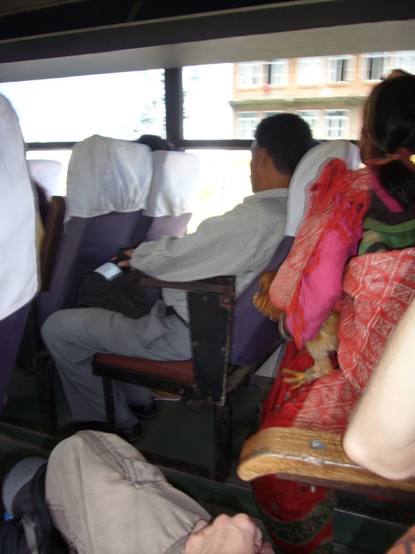 On the bus back, this woman has a live chicken in her hand.