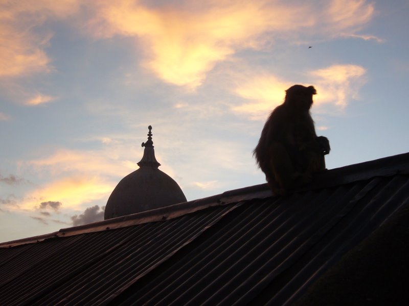 Travel - Nepal - Kathmandu