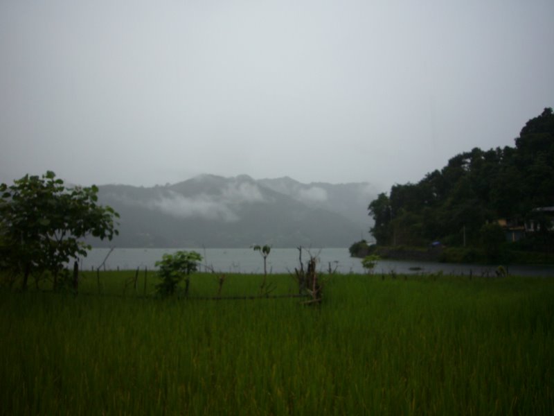 The view from our guest house.