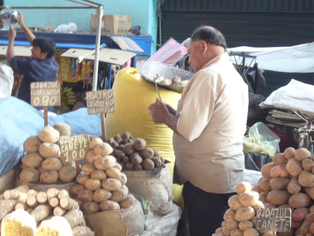 Travel - Peru - Arequipa