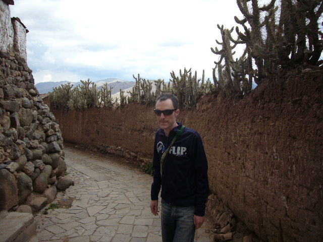 Cactus Security  Fence