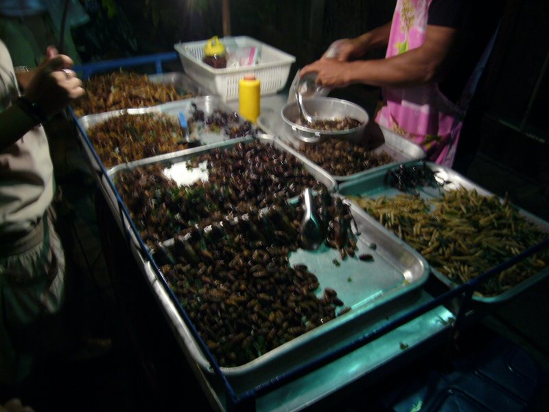 Assorted deep fried bugs