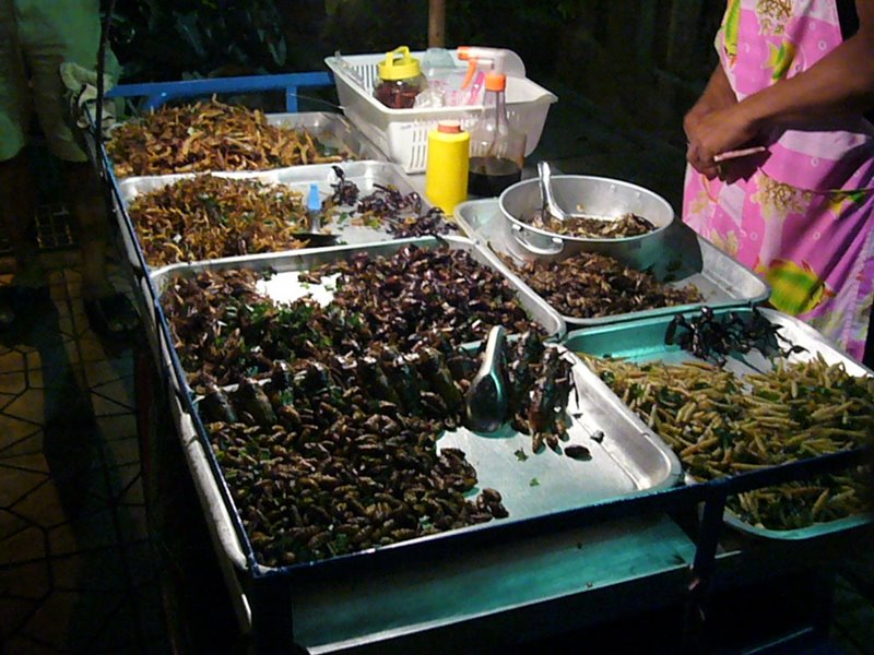 Assorted deep fried bugs