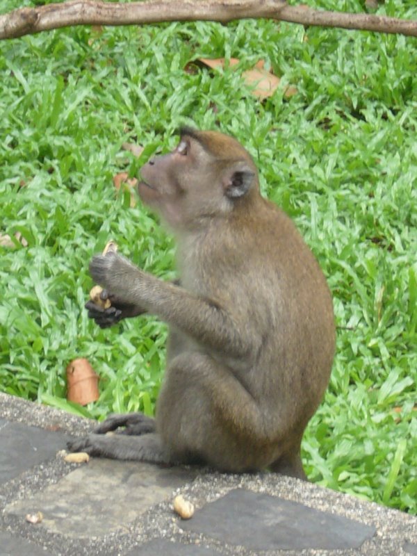 Travel - Thailand - Songkla