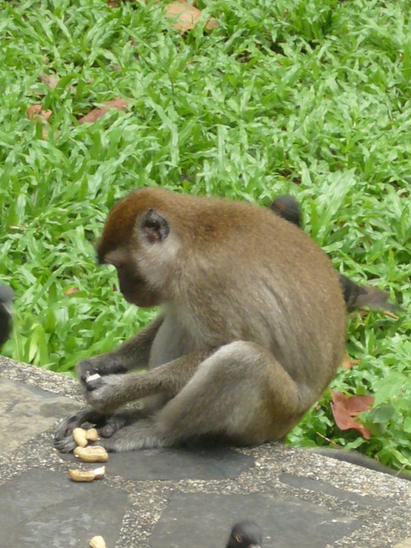 Travel - Thailand - Songkla