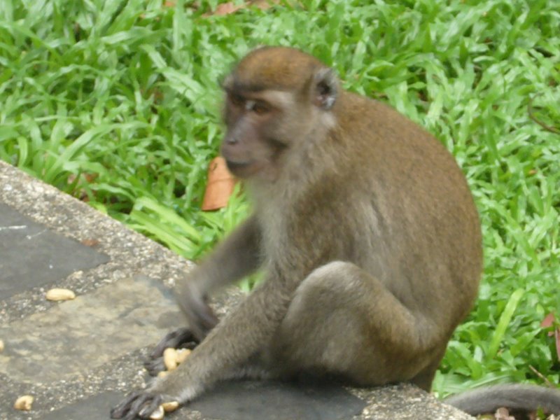 Travel - Thailand - Songkla